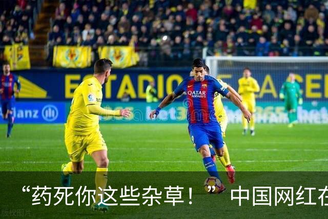 “药死你这些杂草！”中国网红在富士山脚狂喷不明液体，被抓包后说：这只是纯净水！