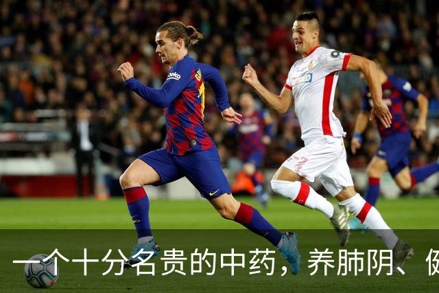 一个十分名贵的中药，养肺阴、健脾胃、补肾精，还对糖尿病有疗效