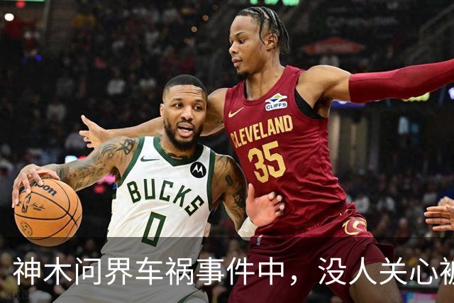 神木问界车祸事件中，没人关心被烧死的那个人